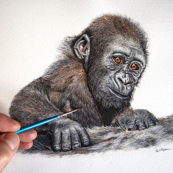 ペンと水彩ウォッシュのゴリラの絵画、水彩動物アート、イラスト