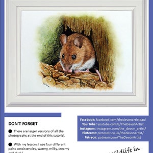 First page of the lesson, showing the wood mouse painting in a white frame.  Below are social media links and some basic guidelines for the tutorial.