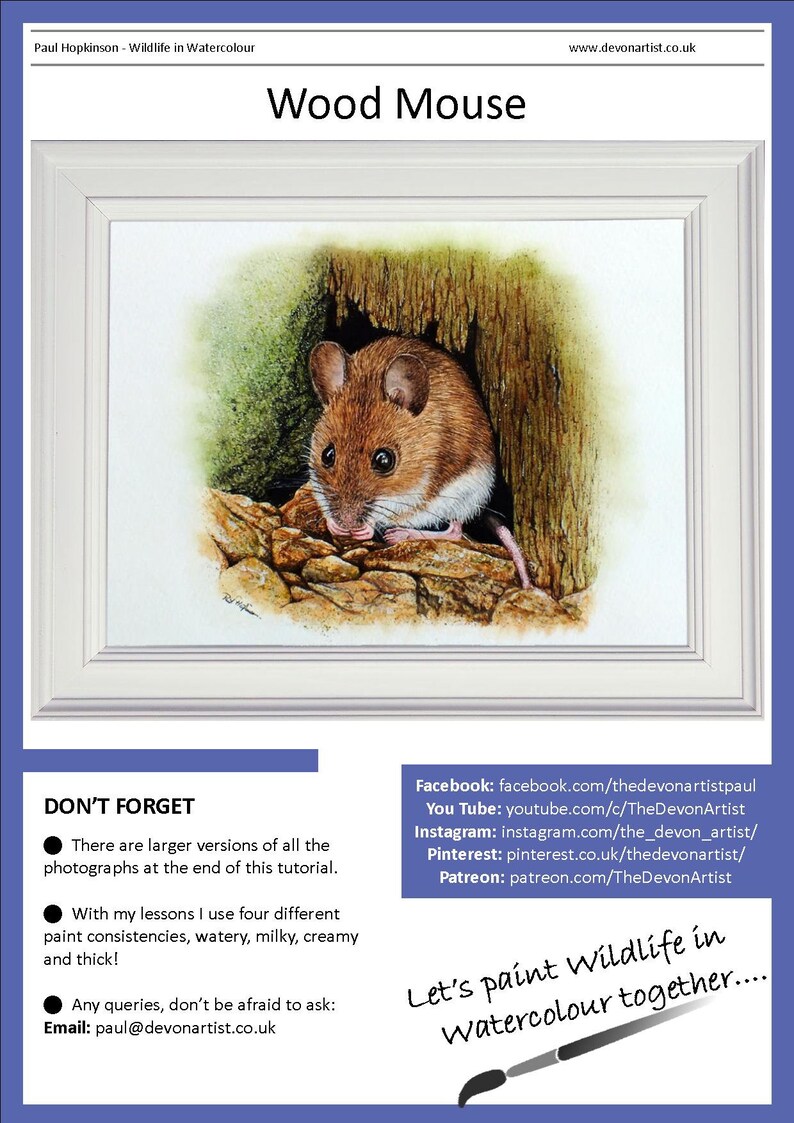 First page of the lesson, showing the wood mouse painting in a white frame.  Below are social media links and some basic guidelines for the tutorial.