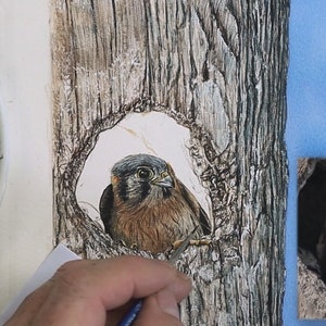 The chick is nearly finished in this photo, it is very realistic looking when compared to the photo which is alongside.  The tree hole is yet to be painted.