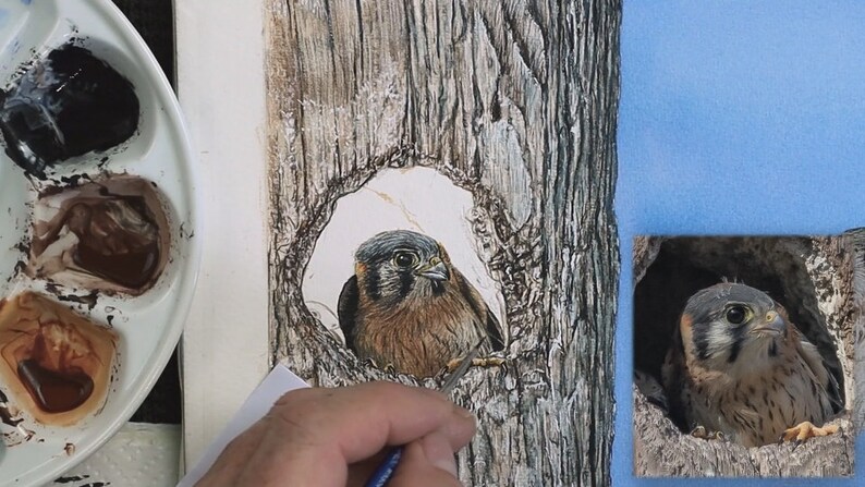 The chick is nearly finished in this photo, it is very realistic looking when compared to the photo which is alongside.  The tree hole is yet to be painted.