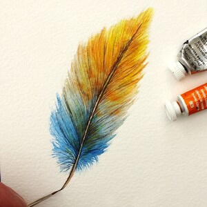 Original Watercolour Feather Paintings, Colourful Watercolor Wall Art, Affordable Art, Feather Art 6. Summertime