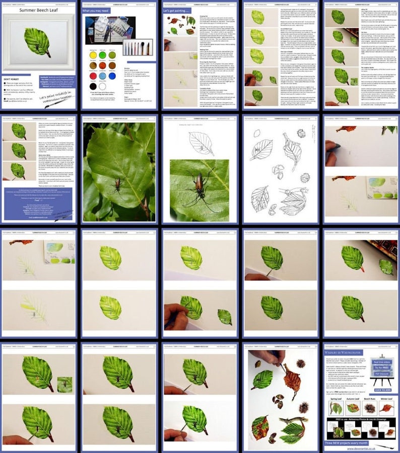 Collage of the pages in this lesson.  These are laid out with photos and written instructions alongside.  Then the photos are all shown page width.