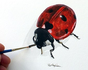 ORIGINAL Coccinelle Aquarelle, Fine Art 7-Spot Ladybird Painting, Insect Aquarelle Artwork, Beetle Illustration, Cadeau de jardinage