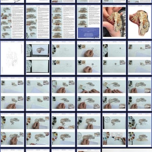 An overview of the complete e-book, showing the pages and their content.  There's a lot of written text alongside work in progress photos as Paul paints the animal.