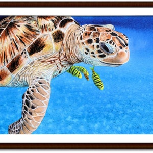 The turtle painting in a dark frame with an off-white mount