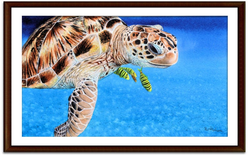 The turtle painting in a dark frame with an off-white mount