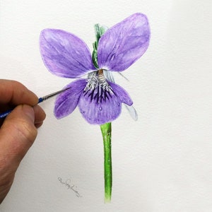Paul painting a purple violet flower.  The flower has two upward pointing petals, and 3 downward.  The middle downward petal has deep purple and white markings.