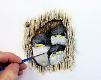 PDF Watercolor Lesson, Painting Realistic Swallows in Watercolour, Downloadable Art Tutorial, Illustration Step-by-Step Guide