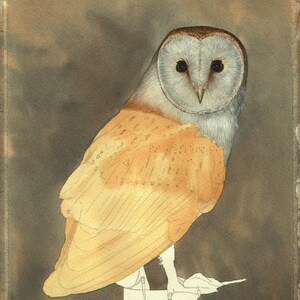 The owl's head is now covered in fine grey detail and the wings have a golden wash of colour on them too.  But they have not yet had detailed added to them.