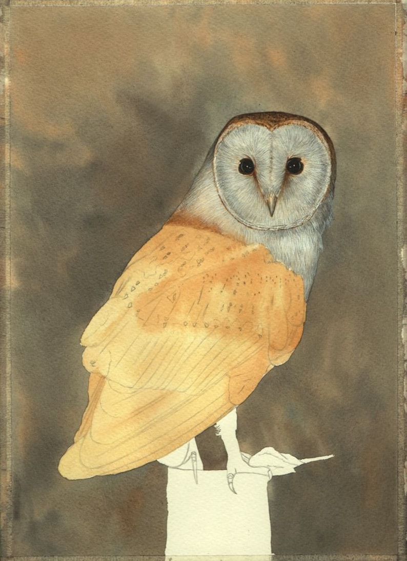 The owl's head is now covered in fine grey detail and the wings have a golden wash of colour on them too.  But they have not yet had detailed added to them.