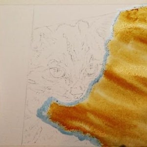 Paul has applied a loose and varied brown wash to the wooden floor.  His paints are shown in his palette to the left.