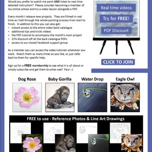 The last page of the lesson which shares information about the watercolor video lessons that area available.  It also illustrates 4 more tutorials that can be bought, a rose, gorilla, droplet and eagle owl.