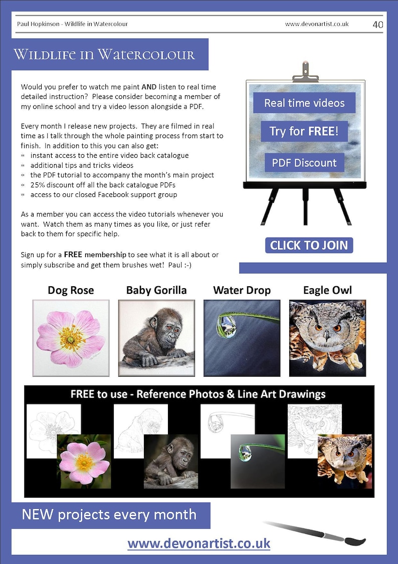 The last page of the lesson which shares information about the watercolor video lessons that area available.  It also illustrates 4 more tutorials that can be bought, a rose, gorilla, droplet and eagle owl.