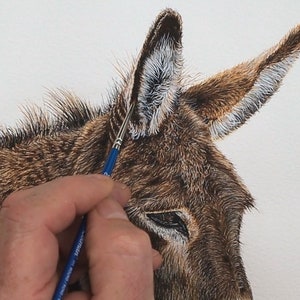 Paul is finishing off painting the Donkey's ear, adding the fine details using white paint on the inside, where it looks soft and fluffy.