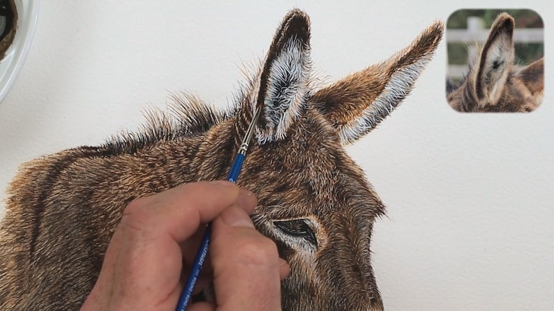 Paul is finishing off painting the Donkey's ear, adding the fine details using white paint on the inside, where it looks soft and fluffy.