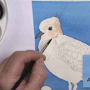 A set of four work in progress photos.  In this first one, Paul has applied a blue background wash, has painted the eye and the beak of the bird, and is applying a brown wash to its face.