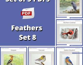 5 Bird Painting Lessons, Learn to Use Watercolor in Fine Detail: Downloadable Tutorials