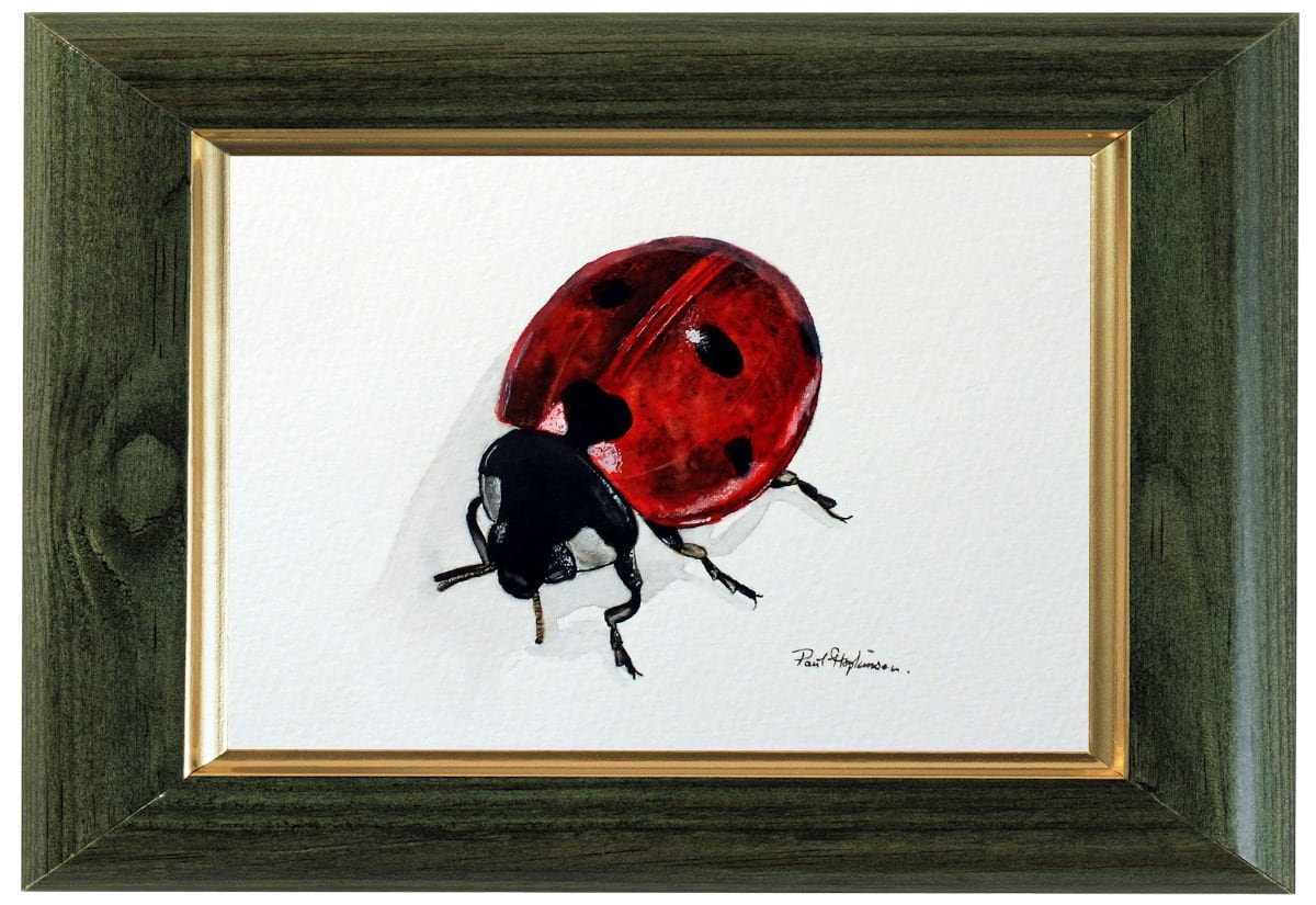シクラメンにてんとうむしlithograph 美品 シクラメンにてんとうむしlithograph 美品 - メルカリ