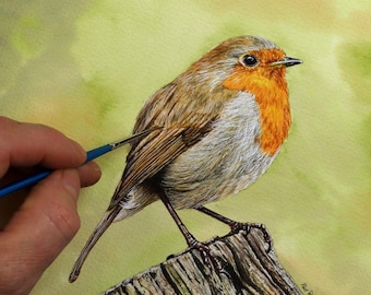 May include: A watercolor painting of a robin perched on a weathered tree stump. The robin has a bright orange breast and a gray back. The artist's hand is visible in the lower left corner, holding a paintbrush.
