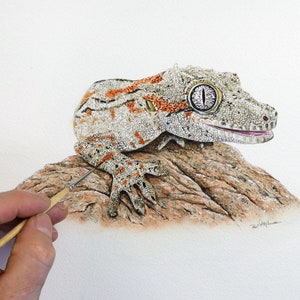 Paul finishing off some fine details in watercolor on a painting of a gecko sitting on a rock.  The gecko is mainly browns, greys and oranges, with a very patterned eye.