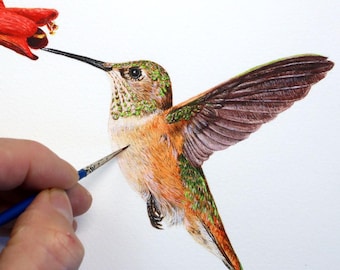 Les aquarel schilderen kolibrie, downloadbare zelfstudie aquarel vogels schilderen, illustratiekunst