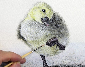 How to Paint Fluffy Baby Birds in Watercolour, Realistic Watercolor Bird Illustration, Online Painting Tutorial