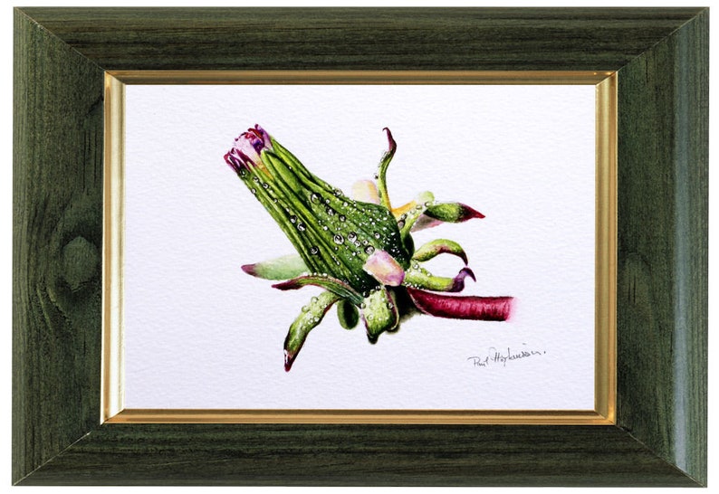 The finished painting, which is very detailed and realistic looking, displayed in a green frame with a gold trim on the inside.