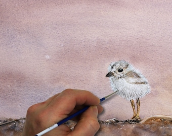 Learn to Paint Realistic Birds in Watercolor, Illustration Style Art, How to Paint a Chick, Online Watercolour e-book