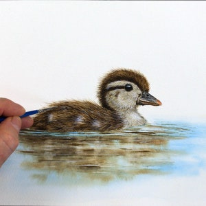 Paul finishing off painting a Wood Duck duckling.  The bird is mainly brown with speckles on the wings, and a pale buff colour around the eye and chest.  The beak has a touch of orange.  The duckling is reflected on the blue water.
