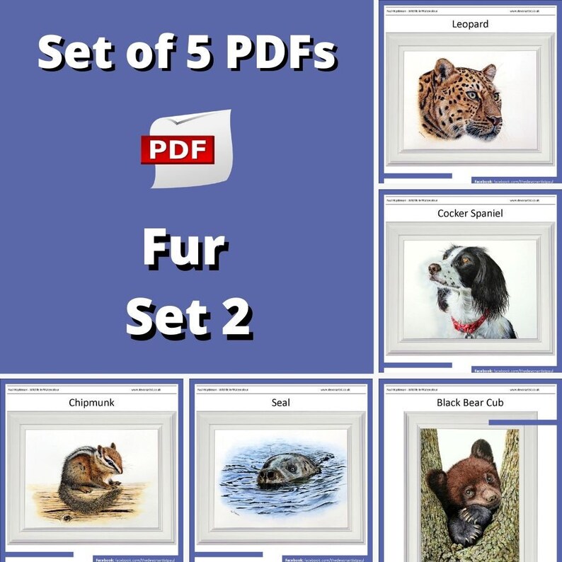 The words 'set of 5 pdfs, Fur set 2 are shown on a blue background in the top left.  To the right and underneath the 5 paintings are shown, a leopard, black and white dog, bear cut, seal and chipmunk.  Each is highly detailed.