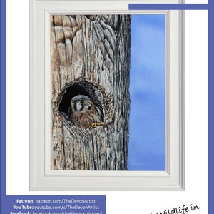 Page 1 of the lesson, with the Kestrel chick painting shown in a white frame. Below are links to Paul's online channels, Patreon,YouTube and Facebook