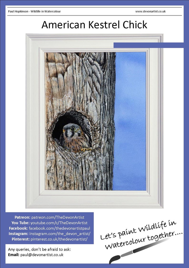Page 1 of the lesson, with the Kestrel chick painting shown in a white frame. Below are links to Paul's online channels, Patreon,YouTube and Facebook
