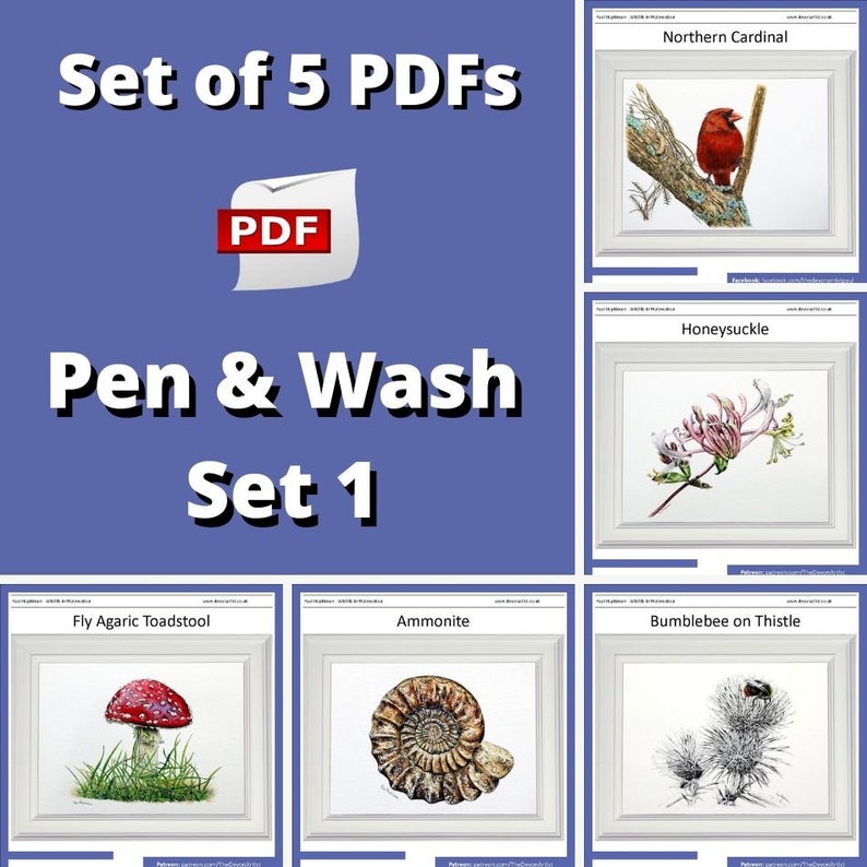 A set of 5 downloadable PDFs on pen and wash techniques.  The image shows the 5 tutorials in the set of lessons.  A red cardinal, honeysuckle flower, bee on a thistle, ammonite fossil and a fly agaric toadstool.