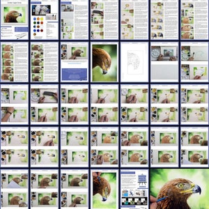 A collage of all the pages in the golden eagle lesson.  These show blocks of written guidance alongside photos of Paul's own painting from start to finish.  Indeed, there are masses of photos of Paul's painting to follow.