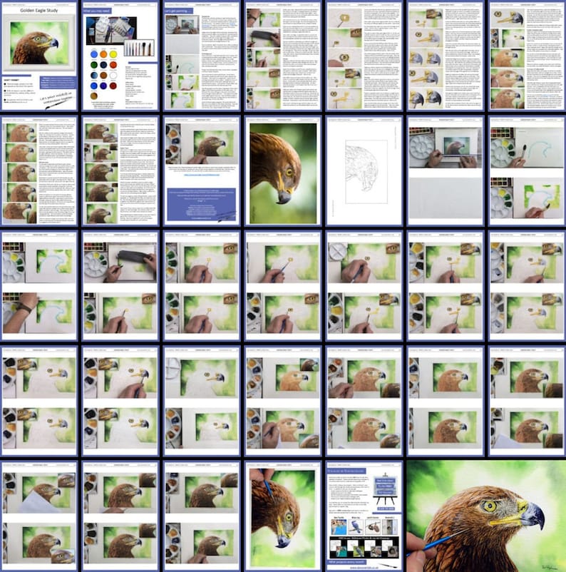 A collage of all the pages in the golden eagle lesson.  These show blocks of written guidance alongside photos of Paul's own painting from start to finish.  Indeed, there are masses of photos of Paul's painting to follow.