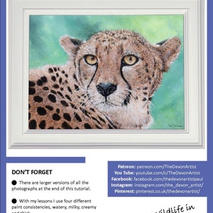 The first page of the Cheetah lesson, which shows the finished painting in a white frame.  It also details the links to Paul's social media and YouTube channel.
