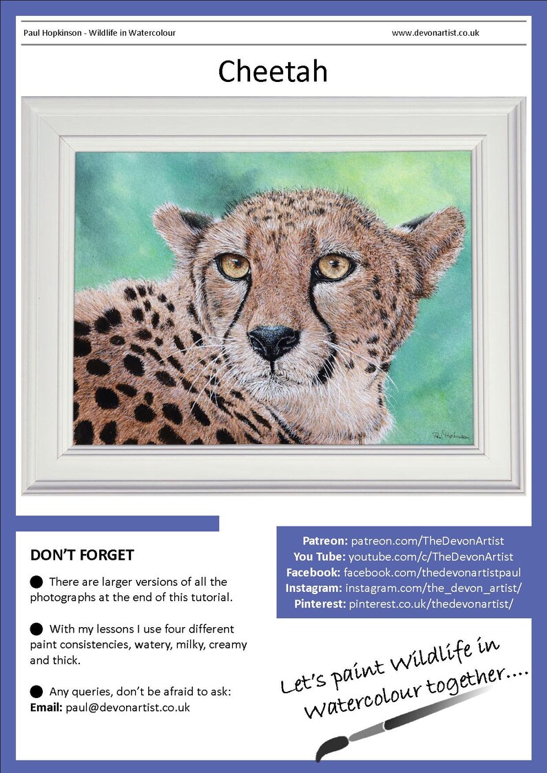 The first page of the Cheetah lesson, which shows the finished painting in a white frame.  It also details the links to Paul's social media and YouTube channel.