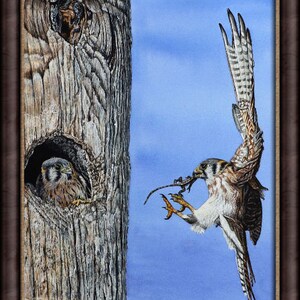 The finished Kestrel painting in a brown frame.