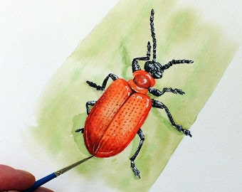 ORIGINAL Watercolour Insect Illustration, Watercolour Wildlife Artwork, Scarlet Lily Beetle Painting, Realistic Watercolor Art, Insect Gift