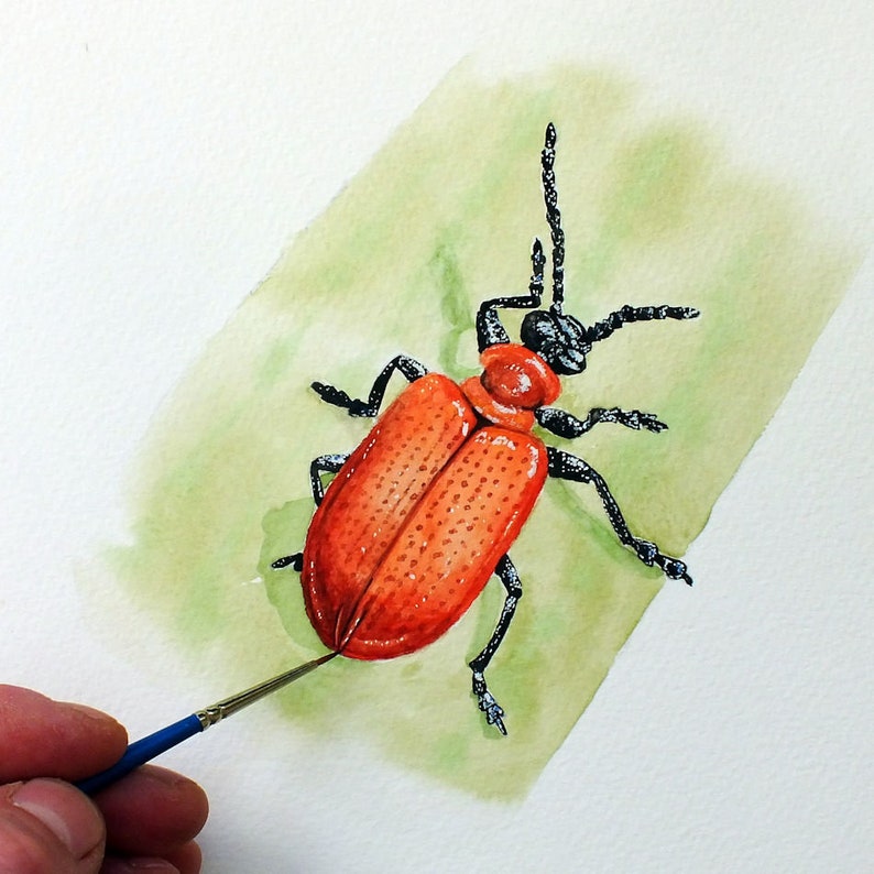 ORIGINAL Watercolour Insect Illustration, Watercolour Wildlife Artwork, Scarlet Lily Beetle Painting, Realistic Watercolor Art, Insect Gift image 1