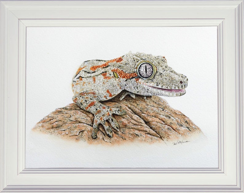 The finished lizard painting in a white frame.  This is a pale brown animal with russet orange patterns on its skin.  It is on a piece of stone, in similar colours.