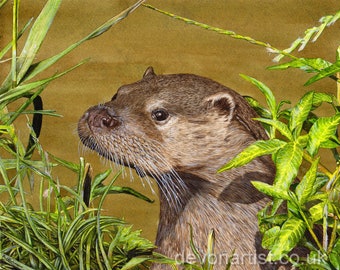 Lernen Sie, Wildtiere in detaillierten Aquarellfarben zu malen, Otter-Malanleitung, PDF-Kunstlektion, Malen mit Aquarell