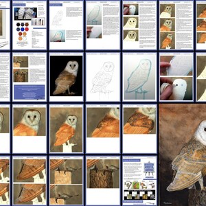 May include: A step-by-step watercolor painting tutorial showing how to paint a barn owl perched on a branch. The tutorial includes detailed instructions and illustrations for each step of the process. The final painting is a realistic depiction of a barn owl with brown, white, and gray feathers.