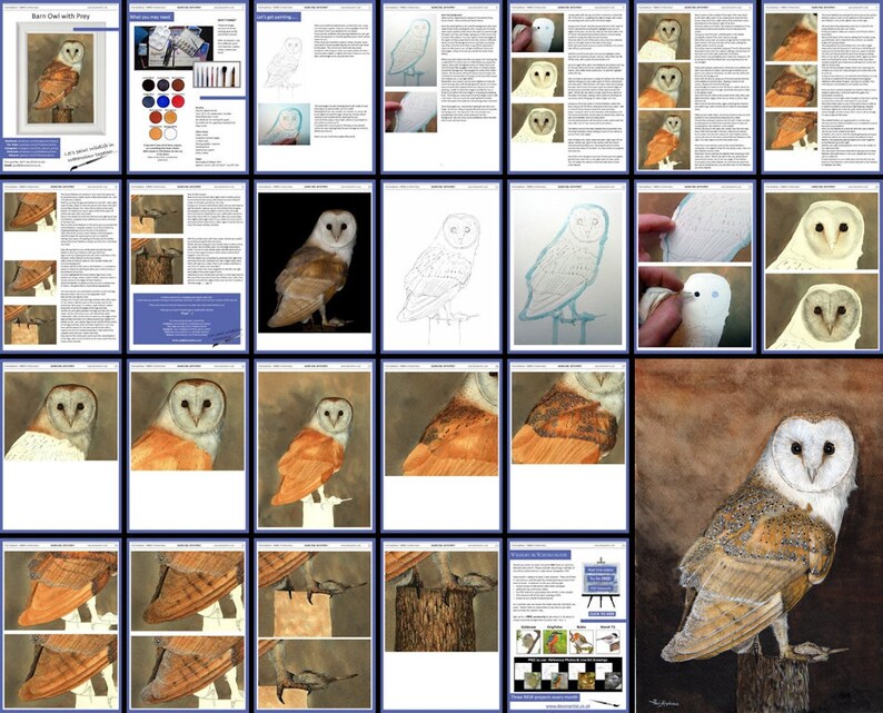 May include: A step-by-step watercolor painting tutorial showing how to paint a barn owl perched on a branch. The tutorial includes detailed instructions and illustrations for each step of the process. The final painting is a realistic depiction of a barn owl with brown, white, and gray feathers.