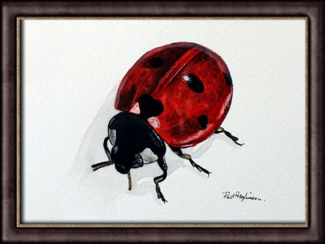てんとう虫　アクリルガッシュ　イラストレーション　絵画 てんとう虫 アクリルガッシュ イラストレーション 絵画 てんとう