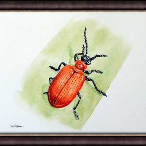 ORIGINAL Watercolour Insect Illustration, Watercolour Wildlife Artwork, Scarlet Lily Beetle Painting, Realistic Watercolor Art, Insect Gift image 4
