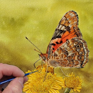 Watercolor Butterfly Painting Tutorial: Realistic Fine Art (PDF Download)