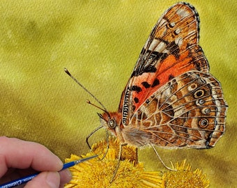 PDF Tutorial on Painting a Watercolour Butterfly, Learn to Paint Watercolor Lesson, How to Paint Insects, Realistic Fine Art, Botanical Art