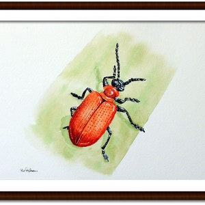 ORIGINAL Watercolour Insect Illustration, Watercolour Wildlife Artwork, Scarlet Lily Beetle Painting, Realistic Watercolor Art, Insect Gift image 8